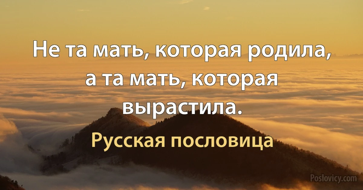 Не та мать, которая родила, а та мать, которая вырастила. (Русская пословица)