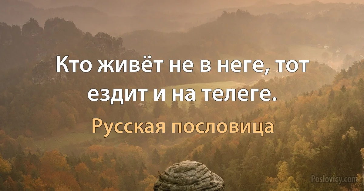 Кто живёт не в неге, тот ездит и на телеге. (Русская пословица)