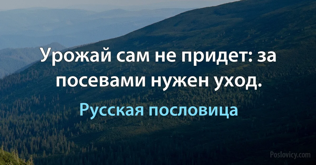 Урожай сам не придет: за посевами нужен уход. (Русская пословица)