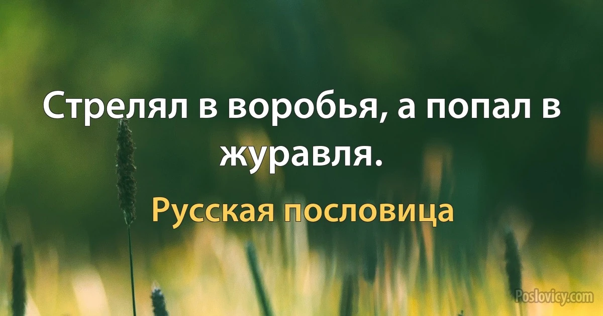 Стрелял в воробья, а попал в журавля. (Русская пословица)