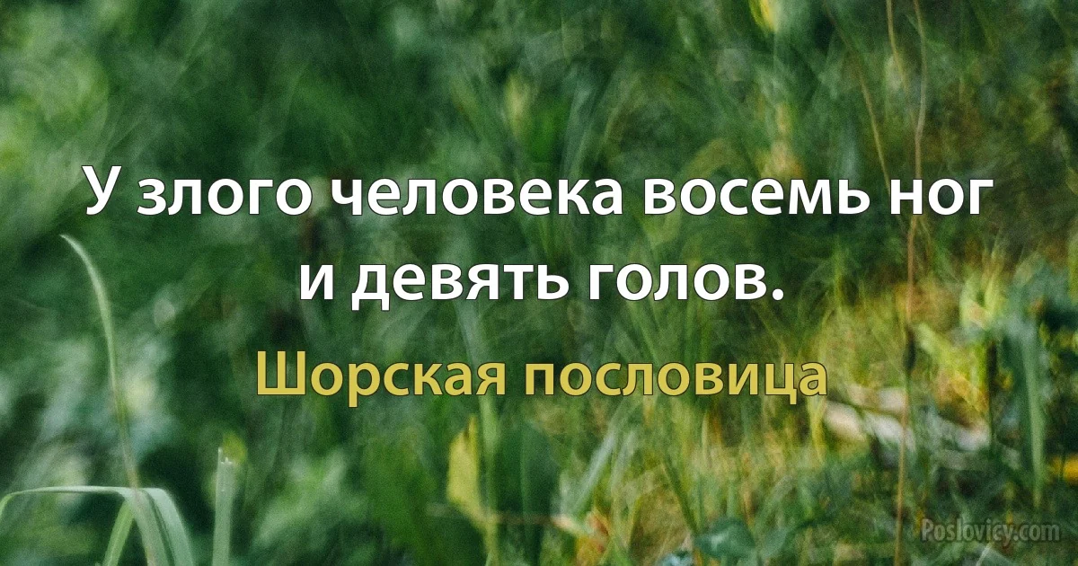 У злого человека восемь ног и девять голов. (Шорская пословица)