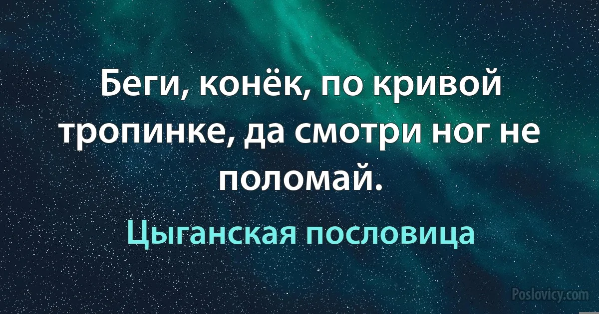 Беги, конёк, по кривой тропинке, да смотри ног не поломай. (Цыганская пословица)