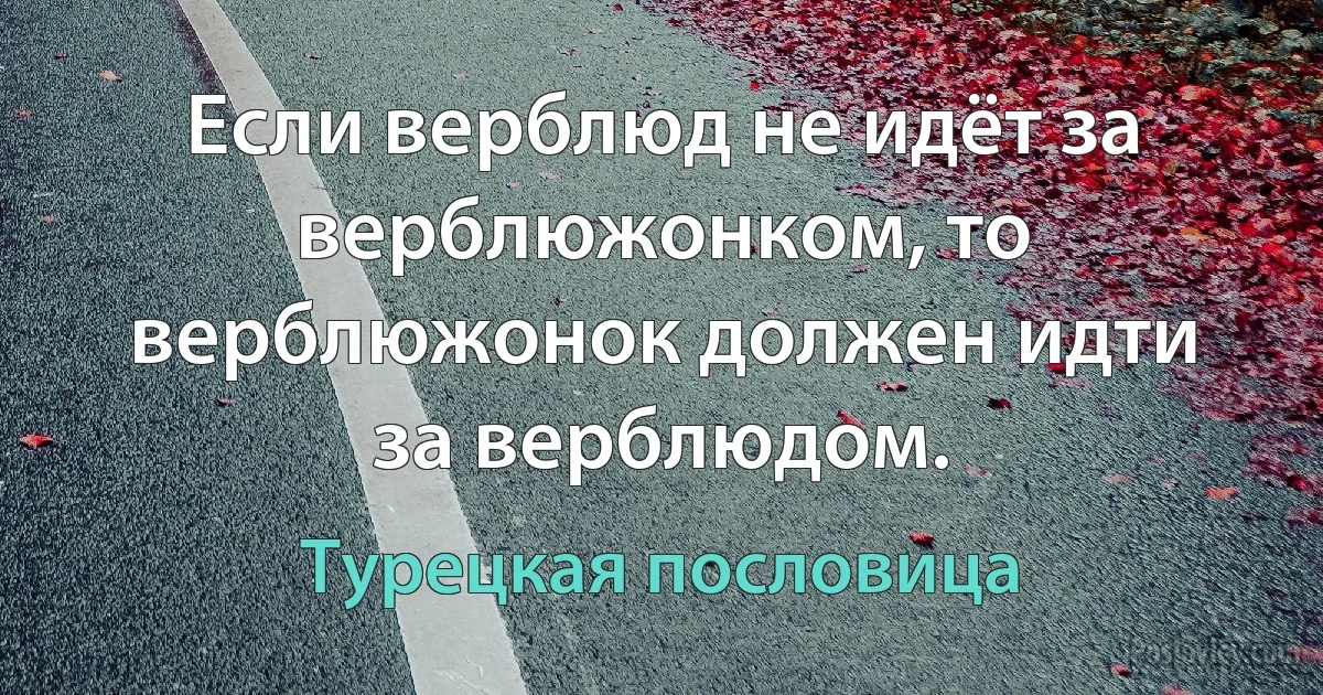 Если верблюд не идёт за верблюжонком, то верблюжонок должен идти за верблюдом. (Турецкая пословица)