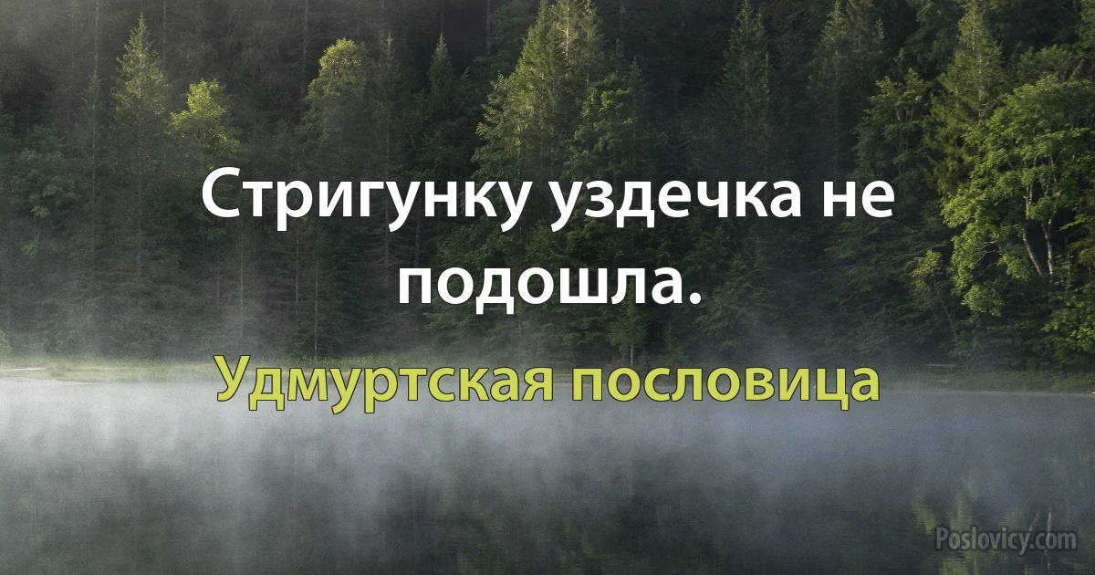 Стригунку уздечка не подошла. (Удмуртская пословица)