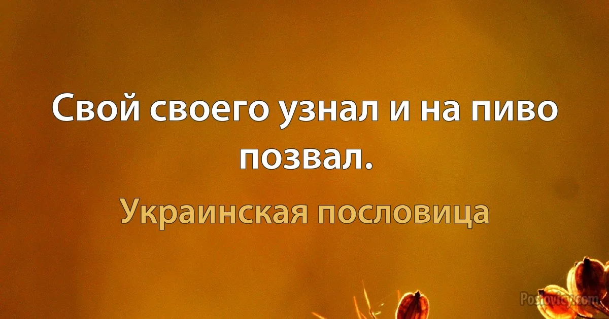 Свой своего узнал и на пиво позвал. (Украинская пословица)