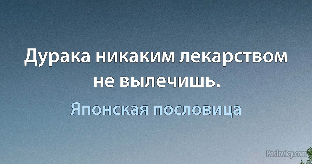 Дурака никаким лекарством не вылечишь. (Японская пословица)