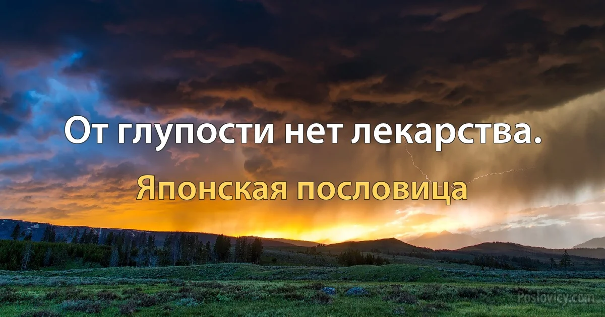 От глупости нет лекарства. (Японская пословица)