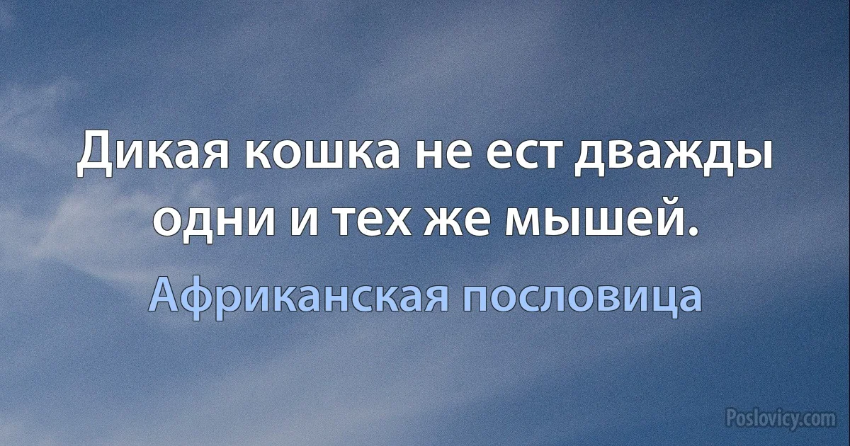 Дикая кошка не ест дважды одни и тех же мышей. (Африканская пословица)