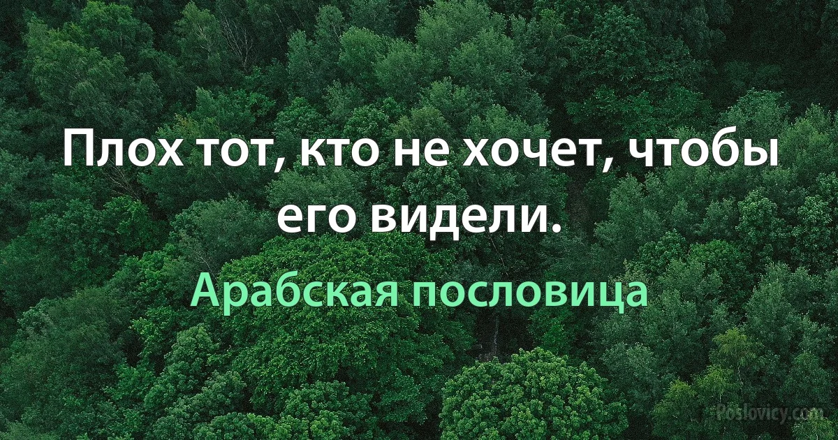 Плох тот, кто не хочет, чтобы его видели. (Арабская пословица)