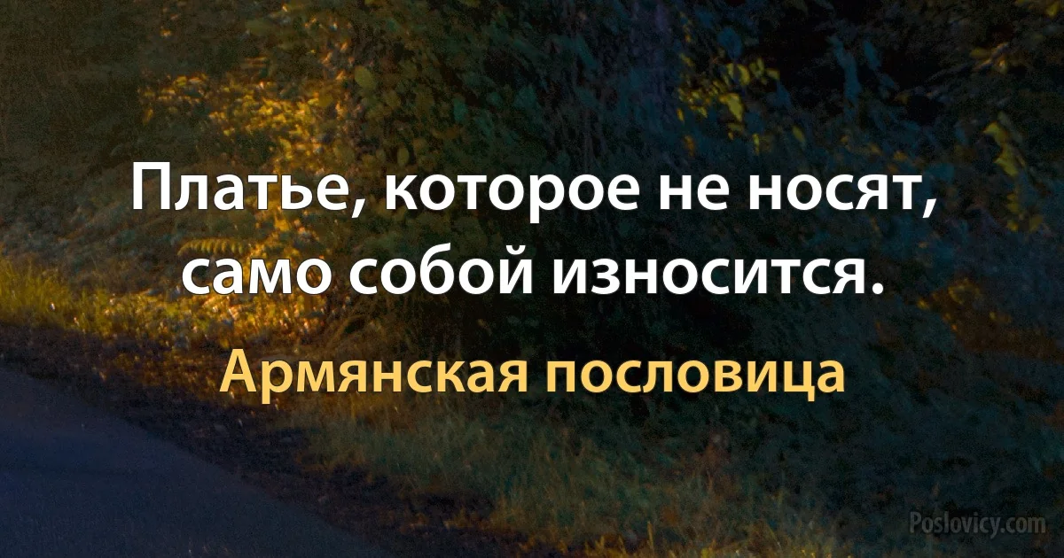 Платье, которое не носят, само собой износится. (Армянская пословица)