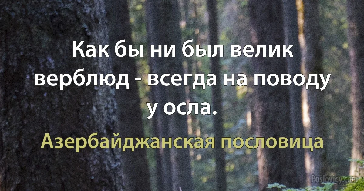 Как бы ни был велик верблюд - всегда на поводу у осла. (Азербайджанская пословица)