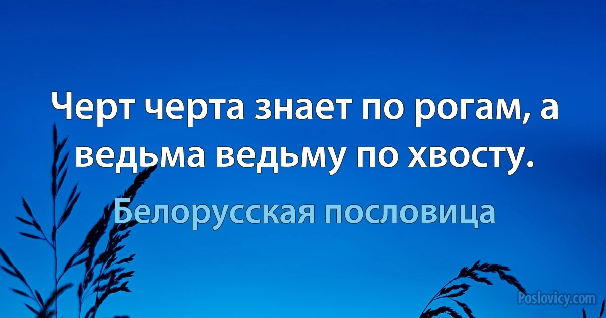 Черт черта знает по рогам, а ведьма ведьму по хвосту. (Белорусская пословица)