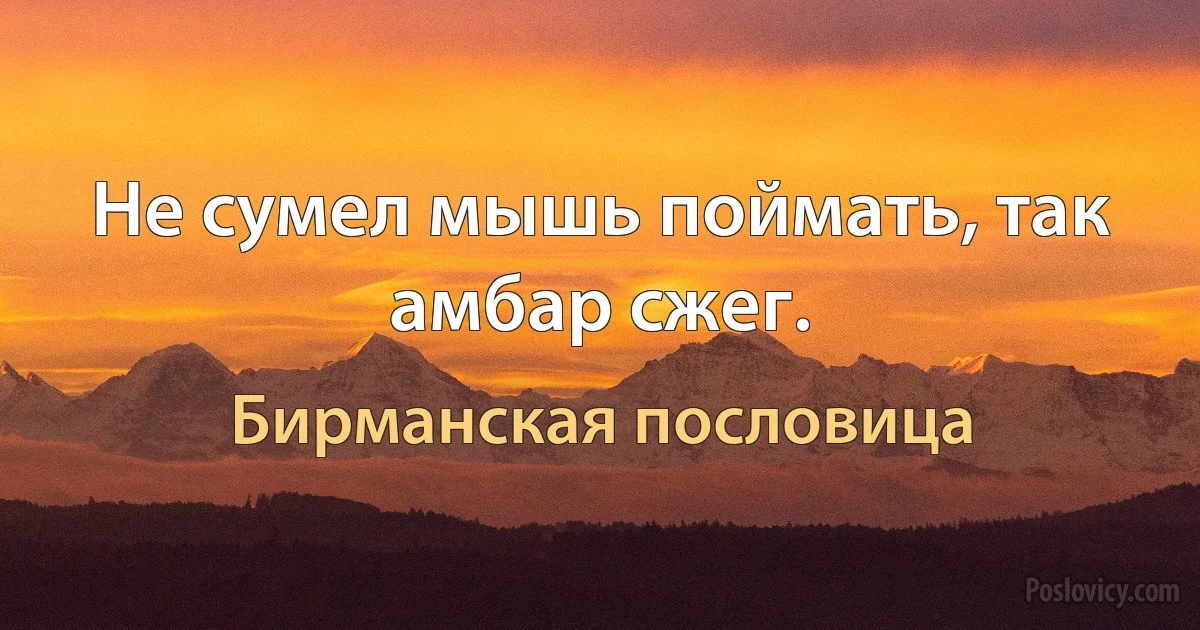 Не сумел мышь поймать, так амбар сжег. (Бирманская пословица)