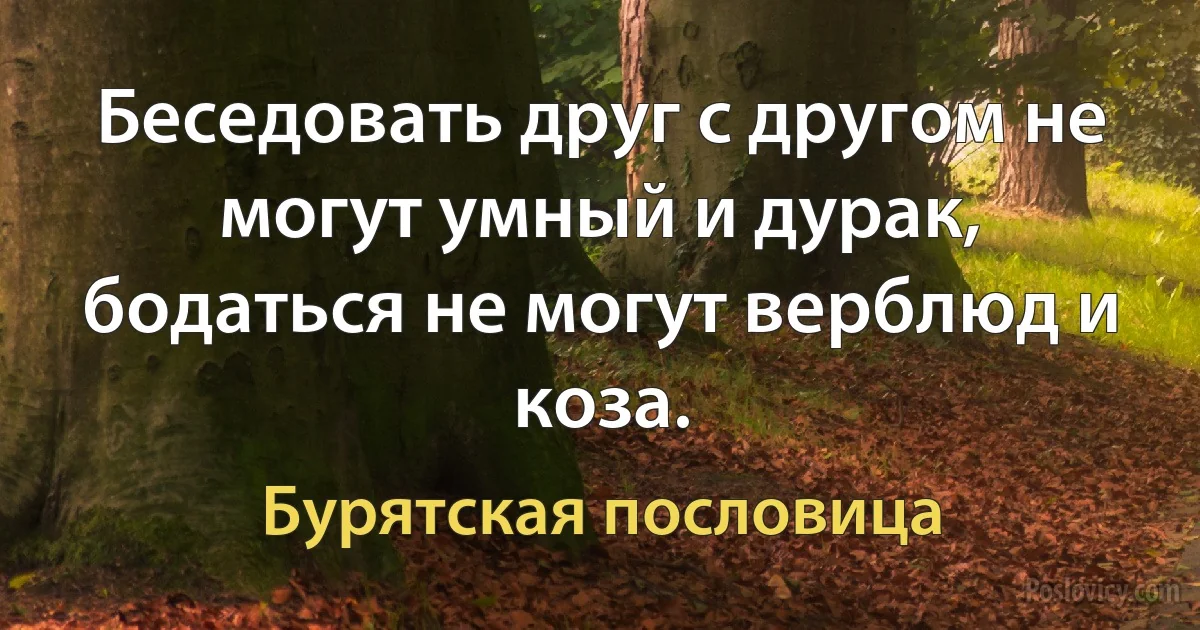 Беседовать друг с другом не могут умный и дурак, бодаться не могут верблюд и коза. (Бурятская пословица)