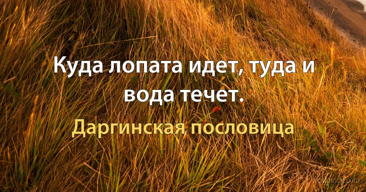 Куда лопата идет, туда и вода течет. (Даргинская пословица)