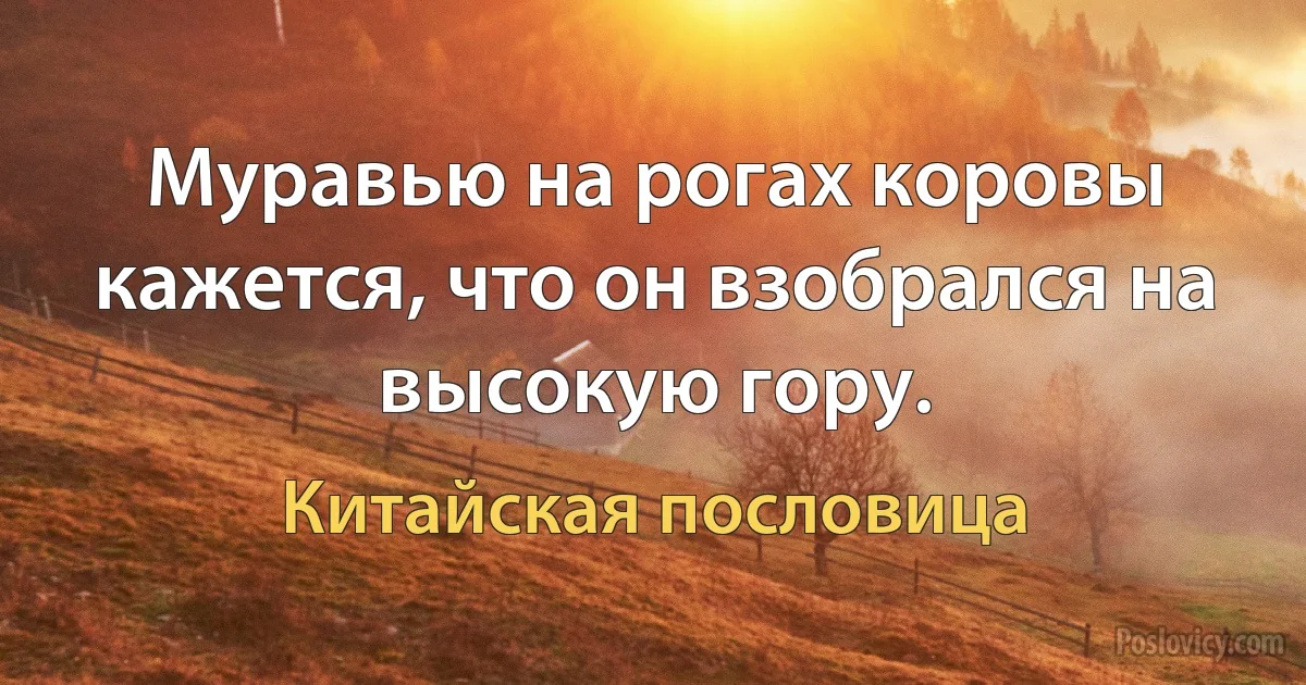 Муравью на рогах коровы кажется, что он взобрался на высокую гору. (Китайская пословица)