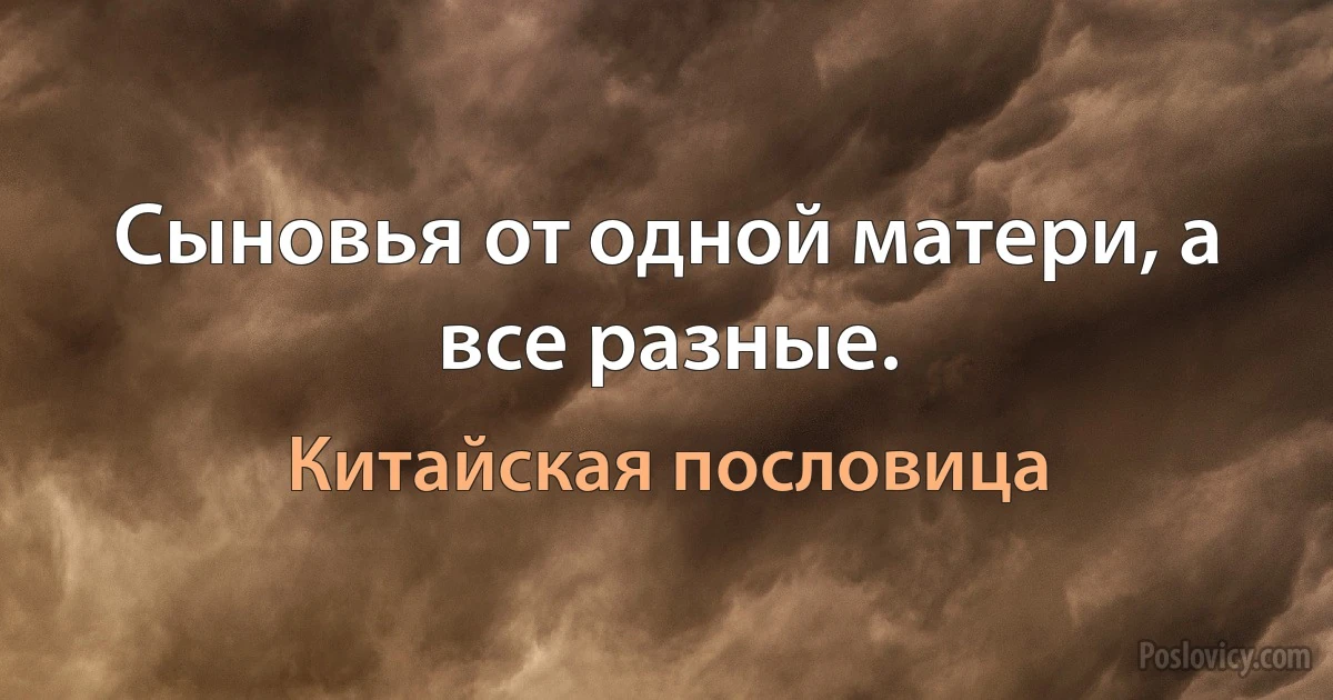 Сыновья от одной матери, а все разные. (Китайская пословица)