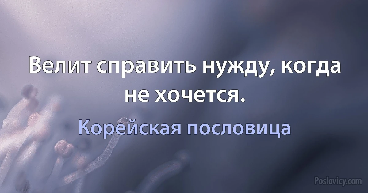 Велит справить нужду, когда не хочется. (Корейская пословица)