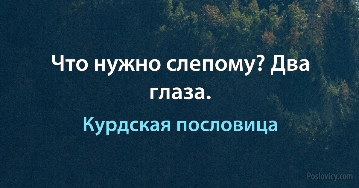 Что нужно слепому? Два глаза. (Курдская пословица)