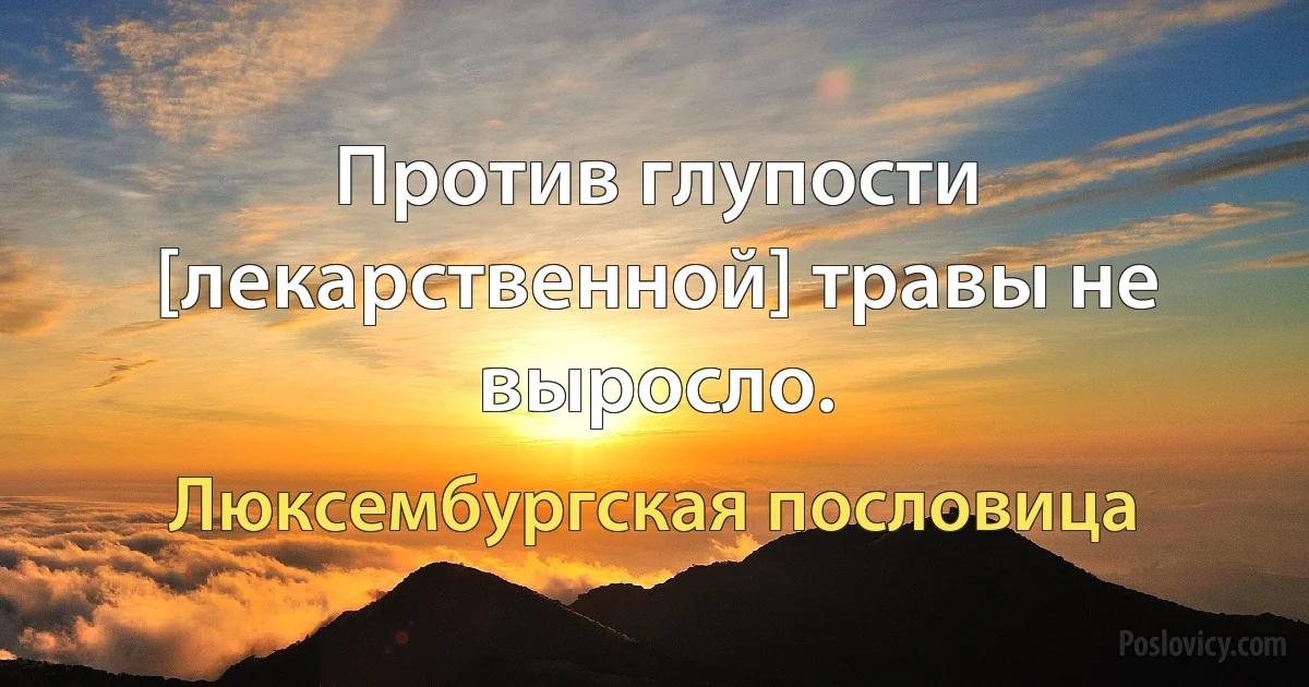 Против глупости [лекарственной] травы не выросло. (Люксембургская пословица)