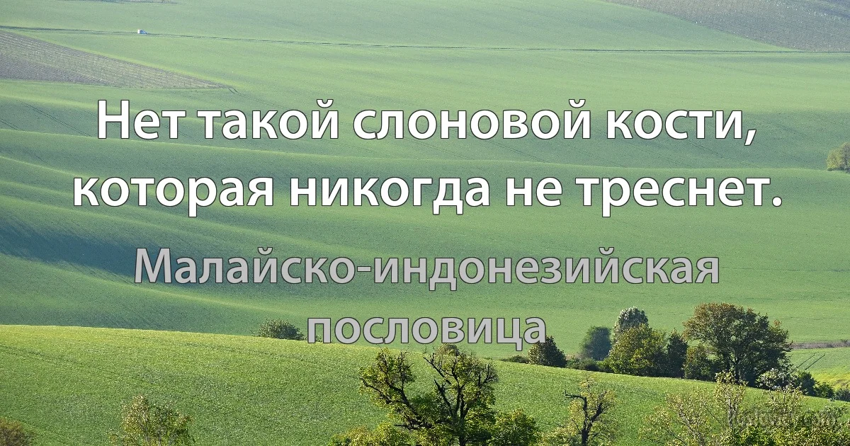 Нет такой слоновой кости, которая никогда не треснет. (Малайско-индонезийская пословица)