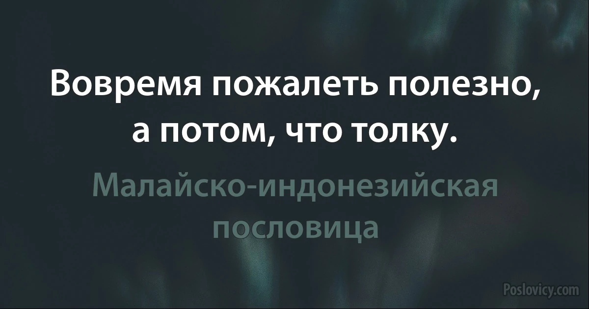 Вовремя пожалеть полезно, а потом, что толку. (Малайско-индонезийская пословица)