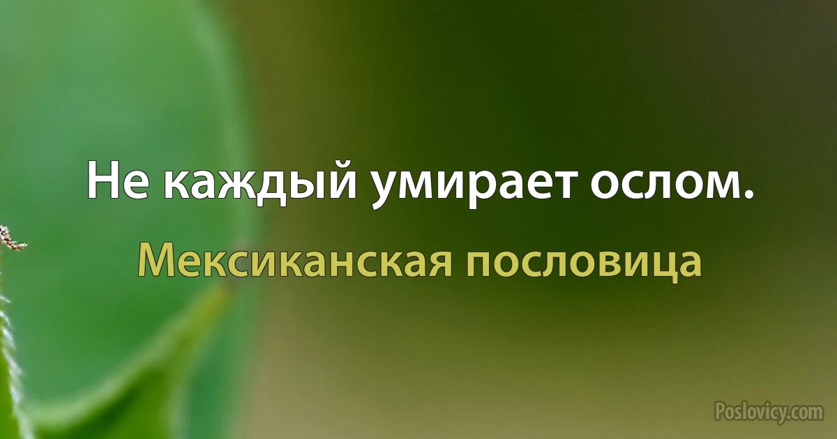 Не каждый умирает ослом. (Мексиканская пословица)