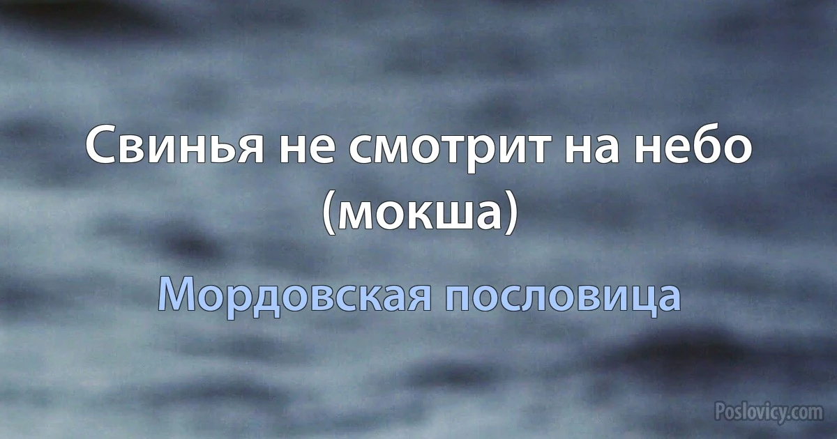 Свинья не смотрит на небо (мокша) (Мордовская пословица)