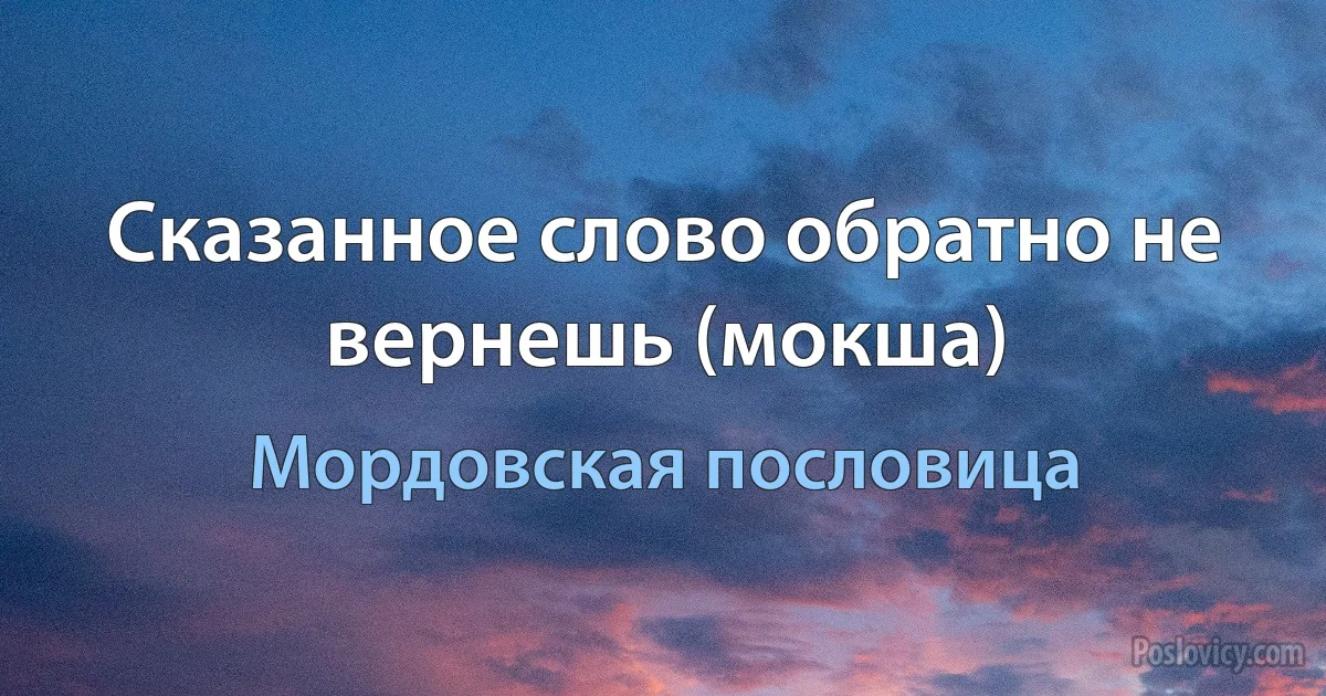 Сказанное слово обратно не вернешь (мокша) (Мордовская пословица)