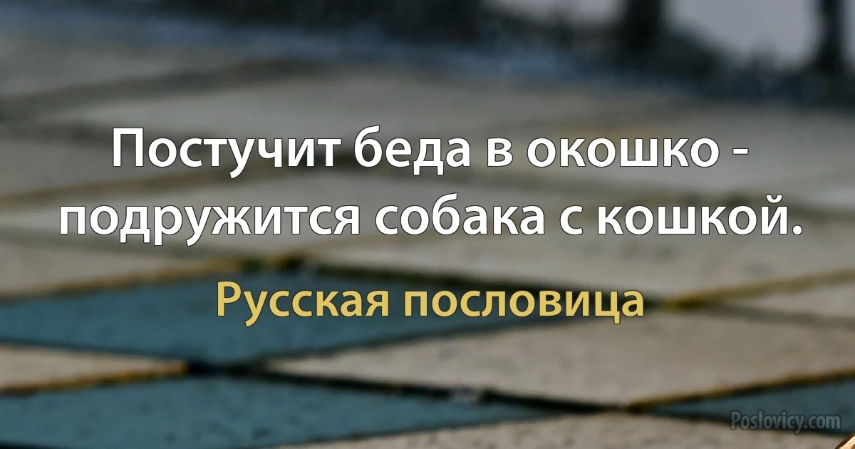 Постучит беда в окошко - подружится собака с кошкой. (Русская пословица)