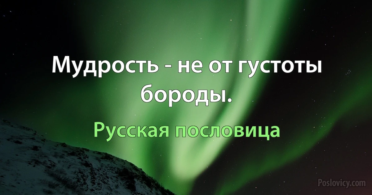 Мудрость - не от густоты бороды. (Русская пословица)