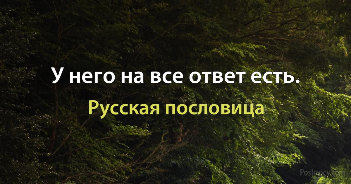 У него на все ответ есть. (Русская пословица)