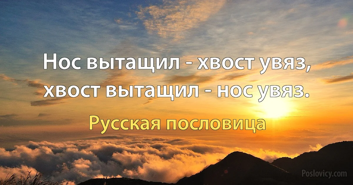 Нос вытащил - хвост увяз, хвост вытащил - нос увяз. (Русская пословица)