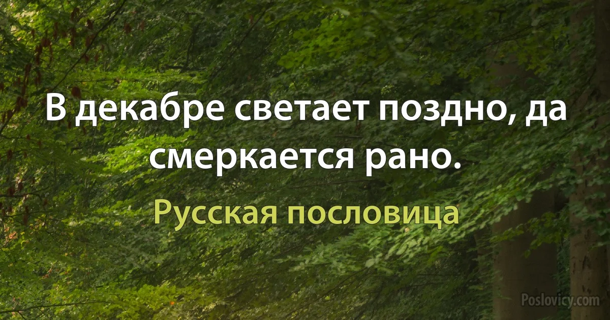 В декабре светает поздно, да смеркается рано. (Русская пословица)