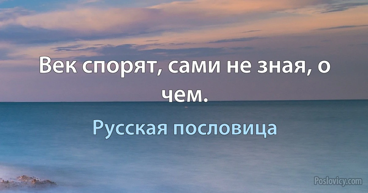 Век спорят, сами не зная, о чем. (Русская пословица)