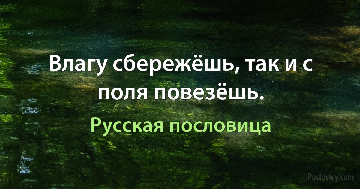 Влагу сбережёшь, так и с поля повезёшь. (Русская пословица)