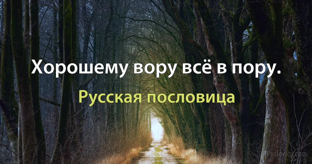 Хорошему вору всё в пору. (Русская пословица)