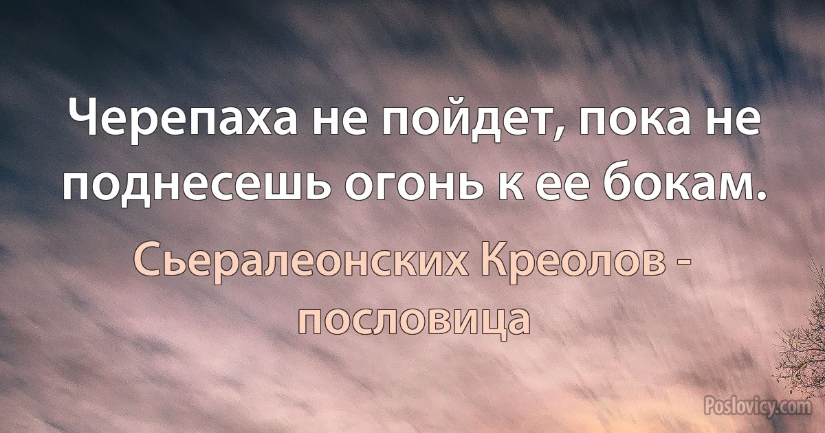 Черепаха не пойдет, пока не поднесешь огонь к ее бокам. (Сьералеонских Креолов - пословица)