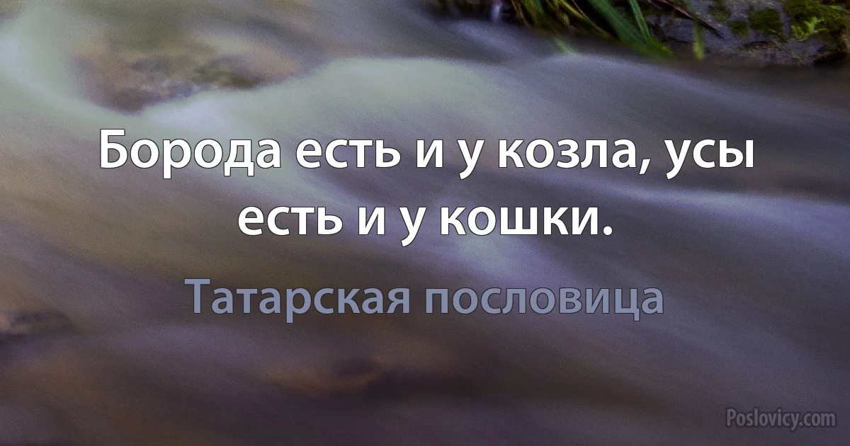 Борода есть и у козла, усы есть и у кошки. (Татарская пословица)