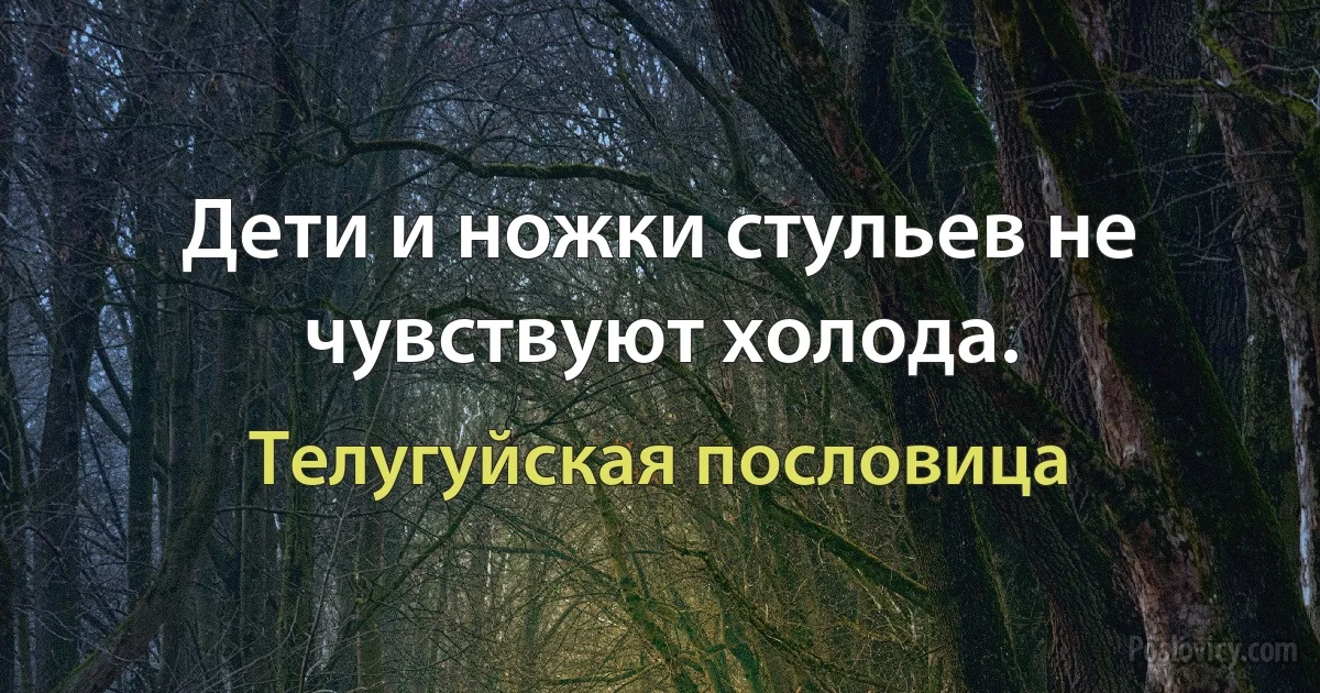 Дети и ножки стульев не чувствуют холода. (Телугуйская пословица)