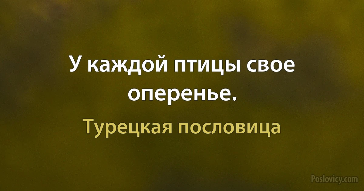 У каждой птицы свое оперенье. (Турецкая пословица)