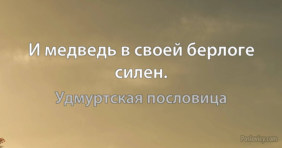 И медведь в своей берлоге силен. (Удмуртская пословица)