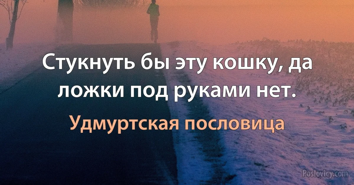 Стукнуть бы эту кошку, да ложки под руками нет. (Удмуртская пословица)