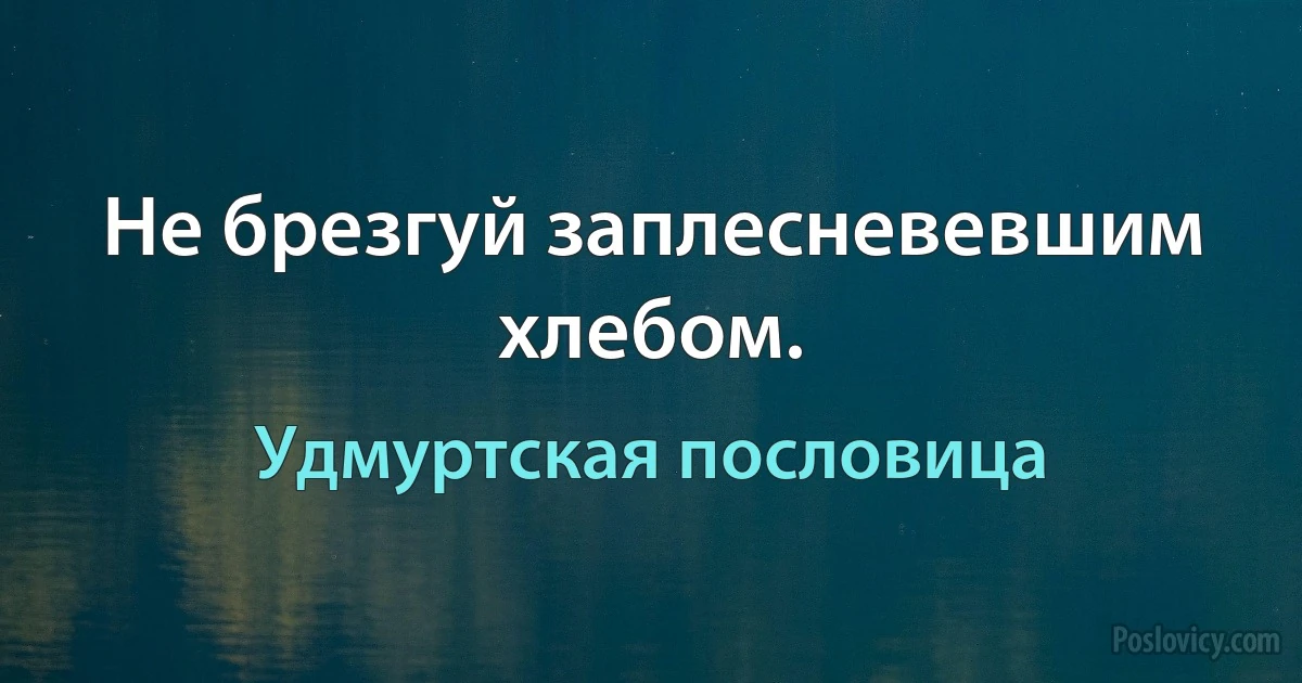 Не брезгуй заплесневевшим хлебом. (Удмуртская пословица)