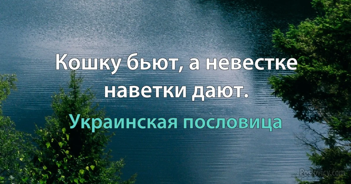 Кошку бьют, а невестке наветки дают. (Украинская пословица)