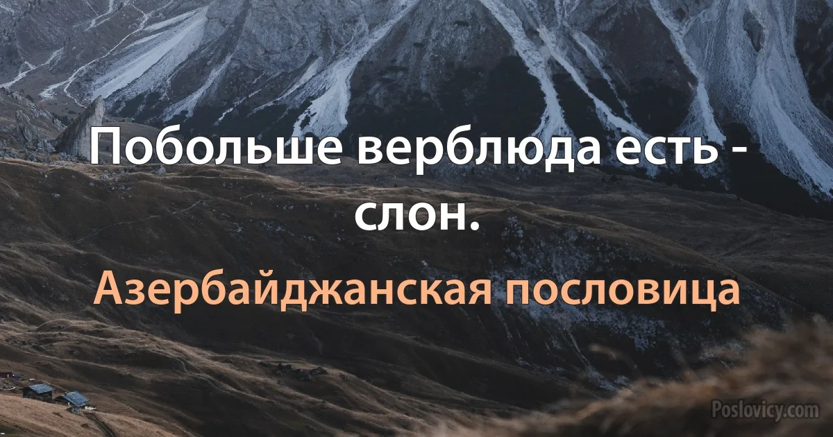 Побольше верблюда есть - слон. (Азербайджанская пословица)