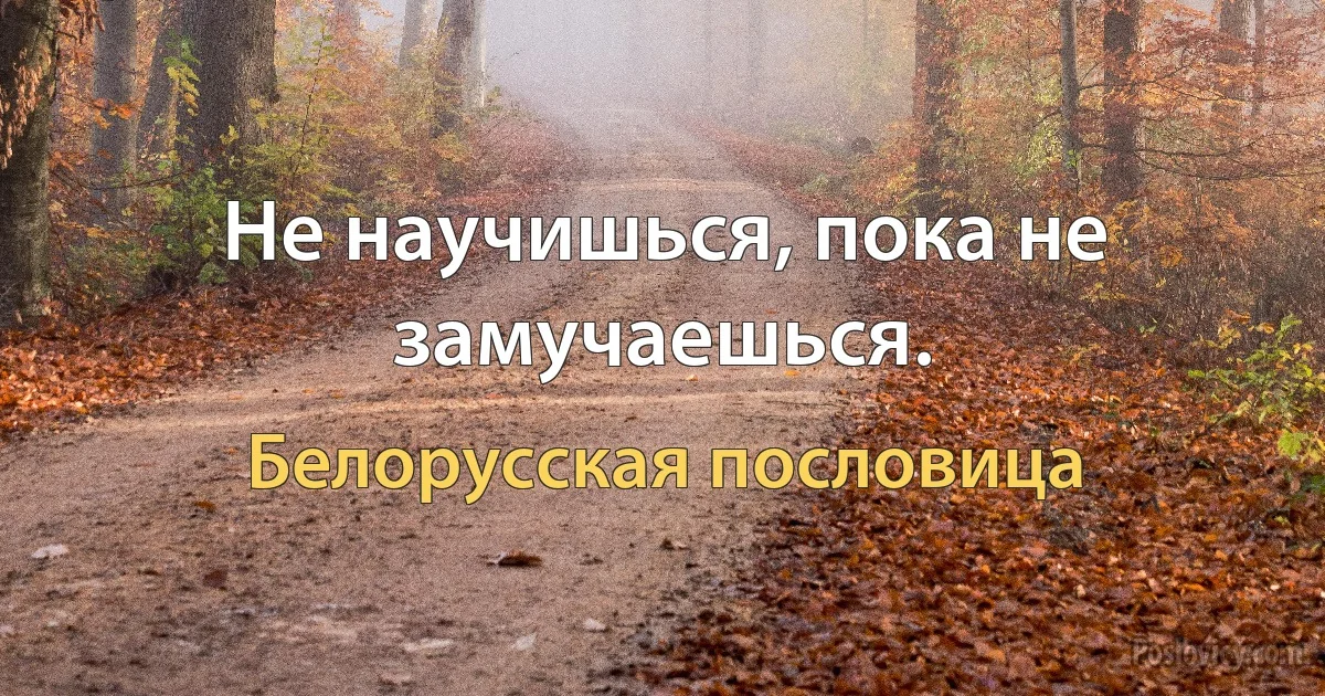 Не научишься, пока не замучаешься. (Белорусская пословица)