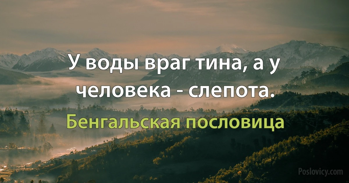 У воды враг тина, а у человека - слепота. (Бенгальская пословица)