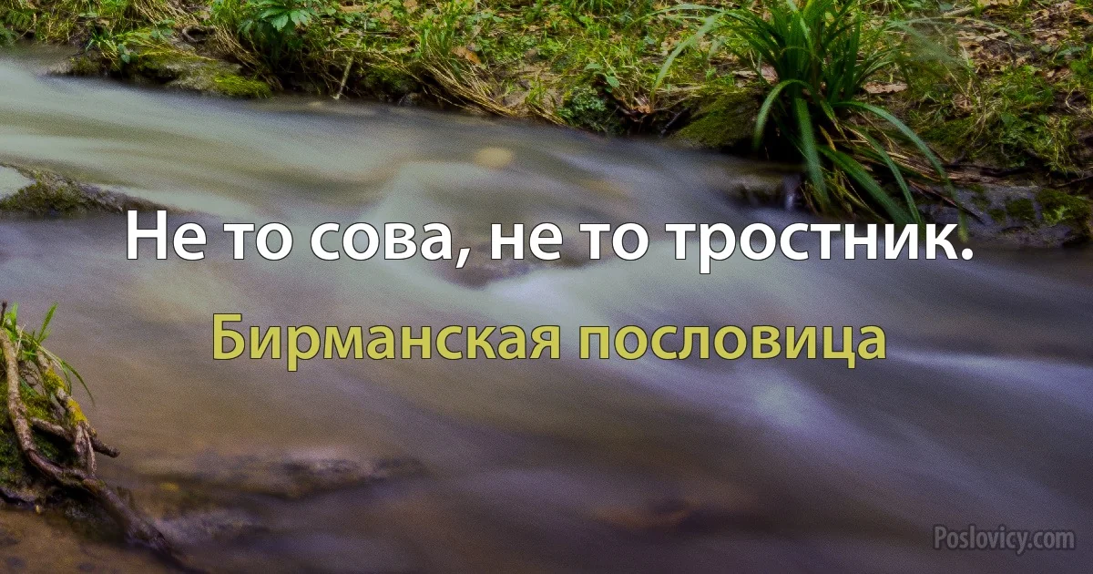 Не то сова, не то тростник. (Бирманская пословица)