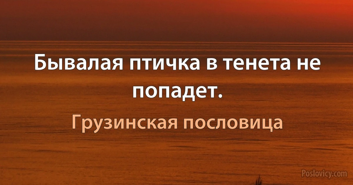 Бывалая птичка в тенета не попадет. (Грузинская пословица)